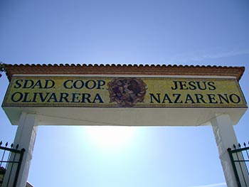 Instalaciones Aceites Bucoli - Coop. Olivarera Jesus Nazareno